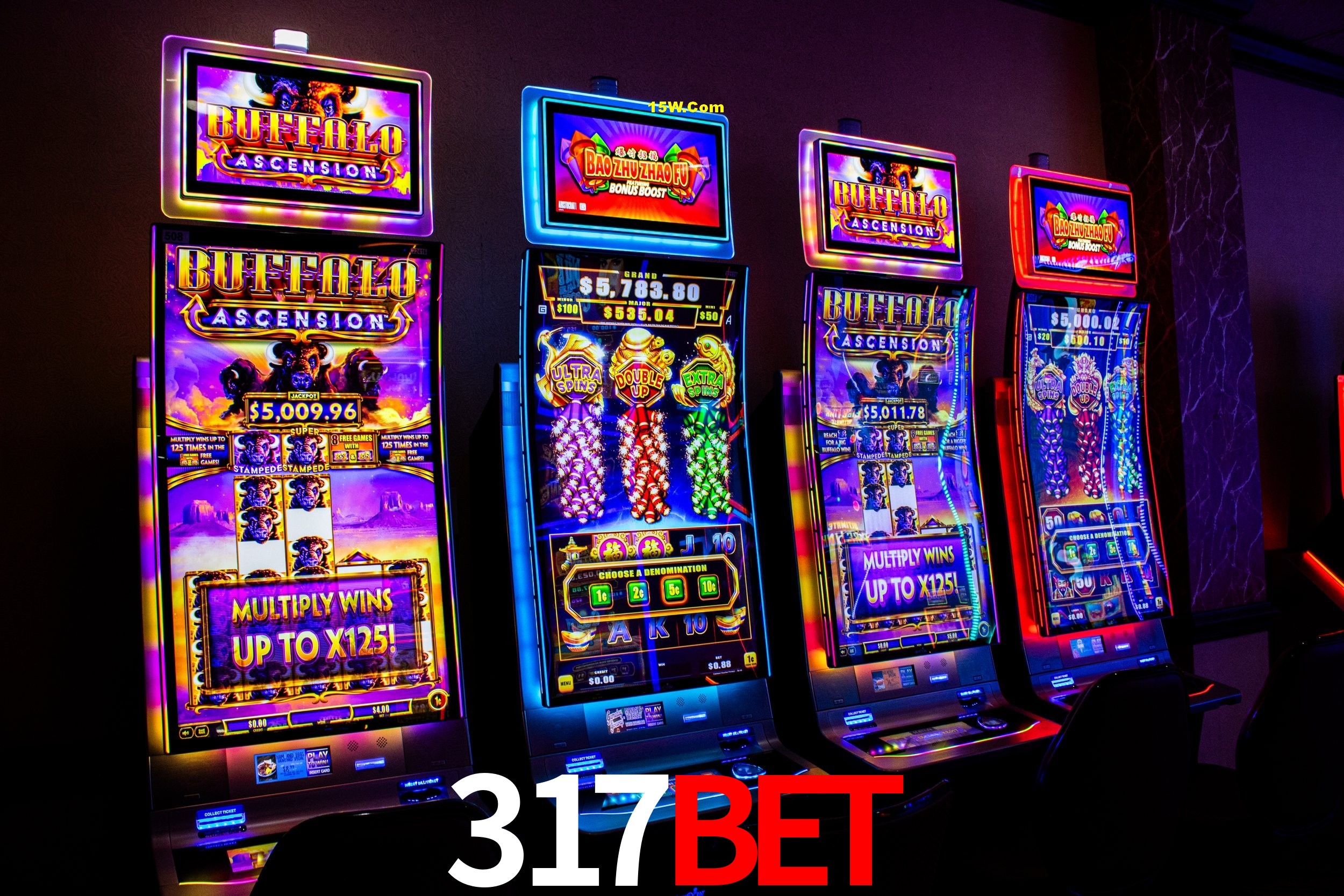 Experiência VIP 317bet